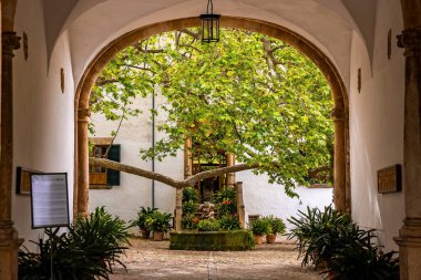 Mallorca, İspanya. 27 Nisan 2022. Eski binanın kemer girişindeki tabela. Kentteki ağaç ve bitkiler tarafından tarihi mimarinin kısıtlı cephesi. Kasabada duvara karşı imza atın..