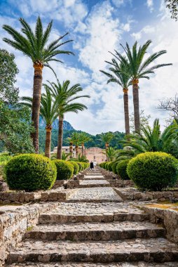Çiçeklerin arasında yürüyen turistler. Erkek ve kadın gökyüzüne karşı tarihi parkı keşfediyorlar. Yaz tatillerini adada geçiriyorlar..