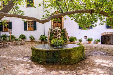 Çocuk heykeliyle çeşmenin üzerinde dallar var. Eski binaya dekore edilmiş saksı bitkileri. Şehrin en güzel ön bahçesi yerleşim bölgesinde..