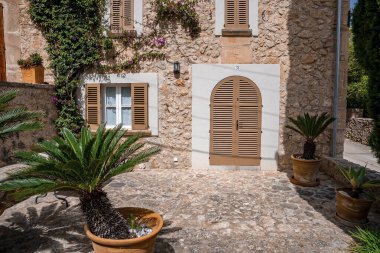 Kapalı kapı ve eski evin pencereleri. Kasabanın dışındaki saksı bitkileri ve sürüngenler. Güneşli bir günde tarihi yerleşim bölgesi.
