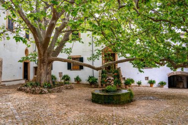 Water fountain with statue by tree. Potted plants decorated against old building in town. Beautiful frontyard in residential district.