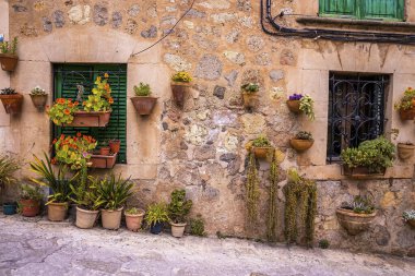 Various potted plants decorated outside old house. Closed door and windows of building by street. Residential district during summer.
