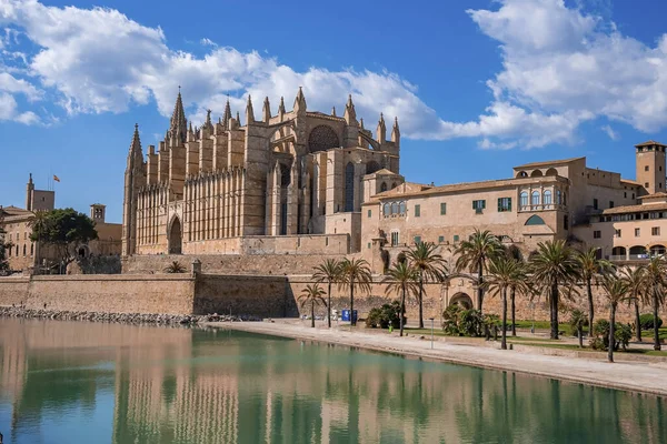 Tarihi şehirde La Seu katedrali mavi gökyüzüne karşı. Kanal kenarında büyüyen palmiye ağaçları. Yaz tatilinde turizm kavramı.