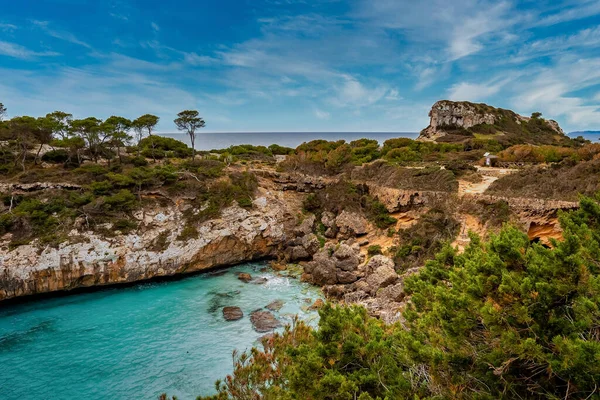 岩石悬崖旁美丽的海洋的高角景观 在蓝天的映衬下 地中海的风景 夏季岛上森林中树木的景观 — 图库照片