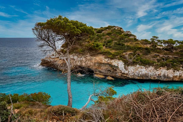 岩石悬崖边美丽的海洋风景 美丽的地中海与蓝天的对比 夏季岛上树木的高角景观 — 图库照片