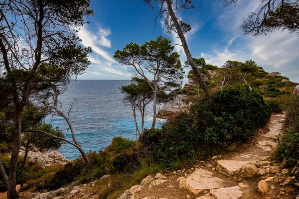 Kayalık patika, deniz kıyısındaki bitkilerin arasında. Mavi gökyüzüne karşı Akdeniz 'in manzarası. Yaz boyunca dağda boş bir patika.