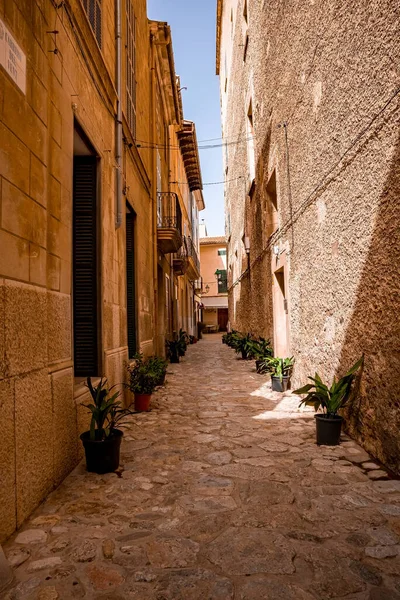 Eski binaların arasında boş bir sokak. Yazın gökyüzüne karşı yerleşim bölgelerindeki evlerin dışındaki bitkiler. Güneşli bir günde tarihi bir şehir.