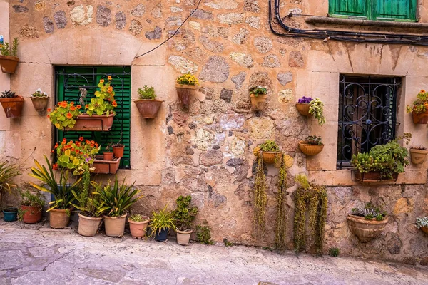 Eski evin dışında çeşitli saksı bitkileri var. Kapalı kapı ve pencereler sokak sokak. Yaz boyunca yerleşim bölgesi.