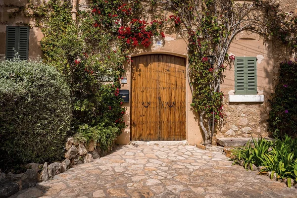 Potted Plants Creeper Building Town Closed Door Windows Old House — Stockfoto