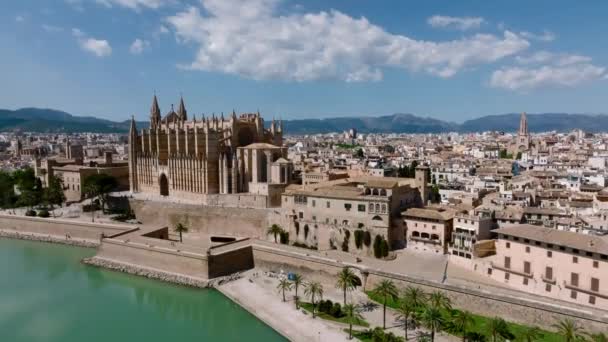 Aerial View Seu Gothic Medieval Cathedral Palma Mallorca Spain — Stock Video