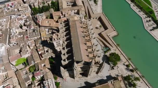 Luftaufnahme Von Seu Der Gotischen Mittelalterlichen Kathedrale Von Palma Mallorca — Stockvideo