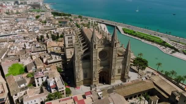 Aerial View Seu Gothic Medieval Cathedral Palma Mallorca Spain — Vídeo de stock
