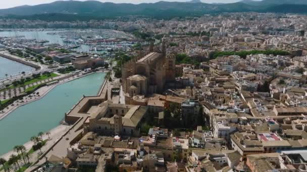 Aerial View Seu Gothic Medieval Cathedral Palma Mallorca Spain — Vídeo de stock