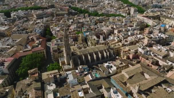Flygfoto Över Seu Den Gotiska Medeltida Katedralen Palma Mallorca Spanien — Stockvideo