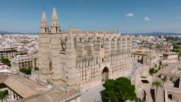 Flygfoto Över Seu Den Gotiska Medeltida Katedralen Palma Mallorca Spanien — Stockvideo