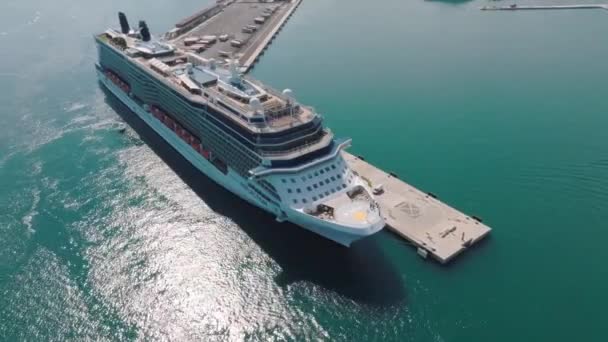 Een Groot Cruiseschip Afgemeerd Haven Van Palma Mallorca Overdag Enorme — Stockvideo