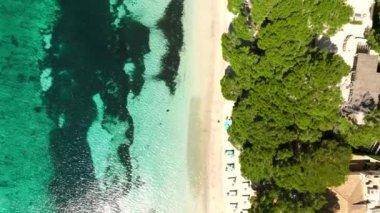 tropik cennet plaj beyaz kum ve coco avuç içi ile seyahat turizm geniş panorama arka plan kavramı