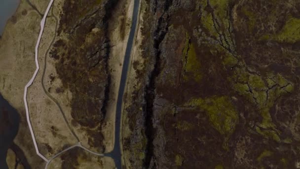 Goed Zichtbare Tektonische Plaat Bij Thingvellir National Park Ijsland Euraziatische — Stockvideo