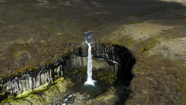 Повітряний Вид Водоспад Свартіфосс Оточений Базальтовими Колонами Півдні Ісландії Прекрасна — стокове відео