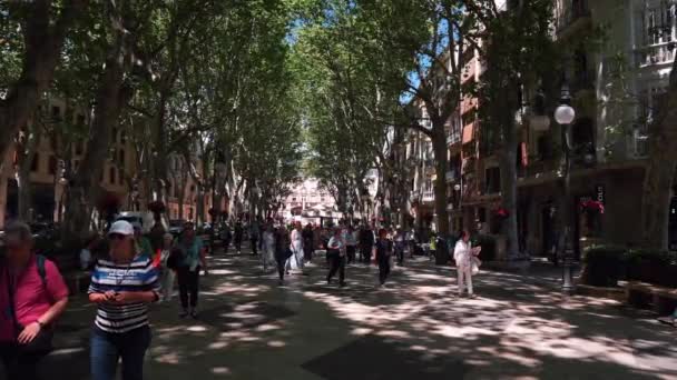 Mensen Wandelen Door Hoofdstraat Palma Mallorca Stad Spanje Tussen Bomen — Stockvideo