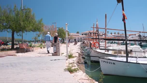 帆船停泊在港口的海上 白色的桅杆船停泊在城市的海滨 与蔚蓝的天空相映成趣 夏季航海旅游的概念 — 图库视频影像