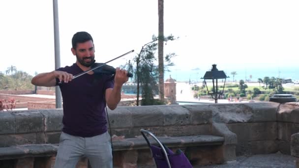 Молодой Человек Играет Скрипке Центре Старого Города Пальма Майорка Испания — стоковое видео