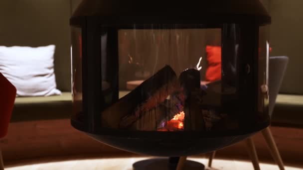 Lüks Bir Otelde Dağ Kirazlarında Sıcak Ahşap Bir Şömine Ateşin — Stok video