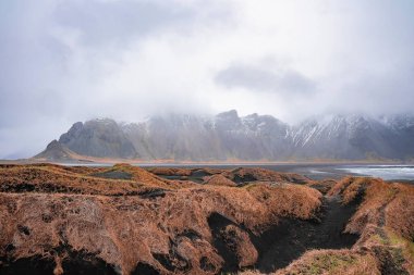 Siyah kumsalın kıyısındaki çimlerin manzarası. Stokksnes Pelerini ve Vestrahorn Dağı manzaralı. Sisli havalarda ünlü turistlerin güzel manzarası.