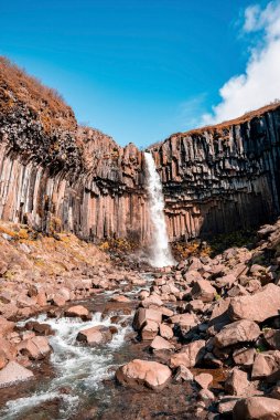 Svartifoss 'un güzel çağlayanları ve akan dereler. Bazalt sütunların ortasındaki şelalenin manzarası. Ulusal parkta mavi gökyüzüne karşı Idyllic 'in ünlü cazibesi.