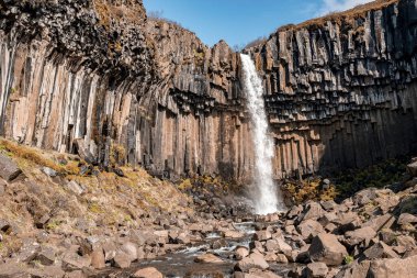 Bazalt sütunların arasında Svartifoss şelalesinin çağlayanı. Ulusal parktaki kayalıklardan akan akıntı. Mavi gökyüzüne karşı ünlü cazibenin manzarası.