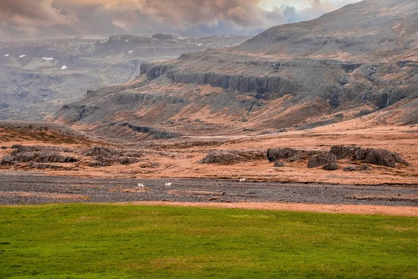 Vista Panoramica Del Campo Erboso Contro Montagne Maestose Vista Distanza — Foto Stock