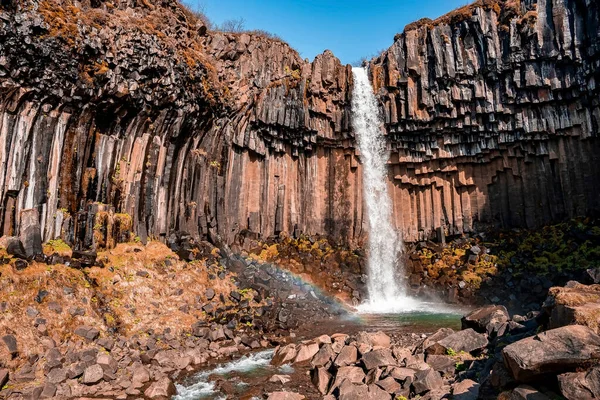 Prachtige Watervallen Van Svartifoss Stroomt Door Rotsen Idyllisch Uitzicht Waterval Rechtenvrije Stockafbeeldingen