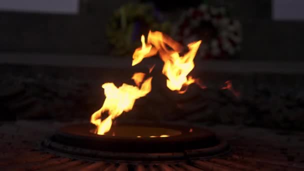 Sıcak Rahatlatıcı Şömine Uhd Ekran Koruyucu Isınmak Yemek Pişirmek Için — Stok video