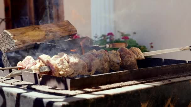 Primer Plano Parrilla Sabroso Plato Barbacoa Proceso Cocinar Delicioso Shashlik — Vídeos de Stock
