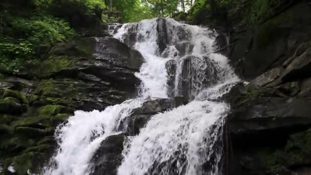 Green Waterfall River Rocks Covered Green Moss Forest Waterfall Inglês — Vídeo de Stock