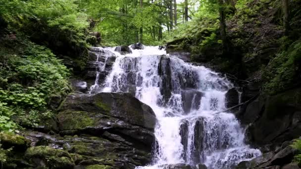 Green Waterfall River Rocks Covered Green Moss Forest Waterfall Inglês — Vídeo de Stock