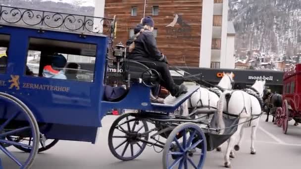 Vacker Häst Med Flätad Man Som Bär Vagn Traditionella Djur — Stockvideo