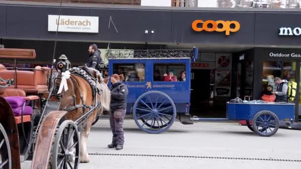 Vacker Häst Med Flätad Man Som Bär Vagn Traditionella Djur — Stockvideo