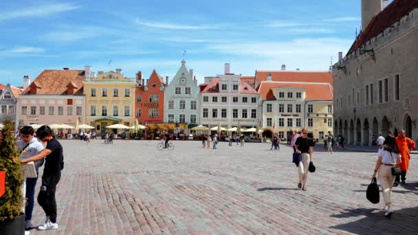 Yazın Güneşli Bir Günün Güzel Manzarası Tallinn Estonya Daki Güzel — Stok video