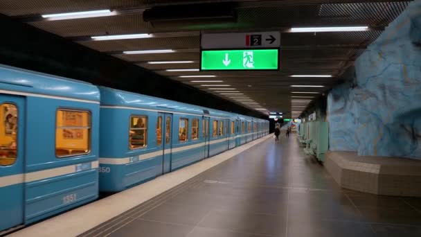 Bahn Stockholm Zug Bahnsteig Stockholm Schweden — Stockvideo