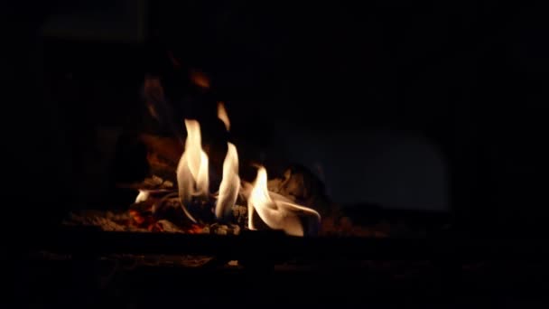 Sıcak Bir Kulübede Şömine Yanan Şömineli Sıcacık Orman Evi Rahatlama — Stok video