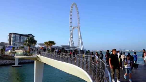 美丽的迪拜风眼或艾因迪拜摩天轮在朱美拉海滩 艾因迪拜 世界上最大的摩天轮 — 图库视频影像