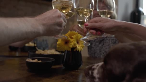 Close Friends Clinking Wine Glasses Festive Dinner Well Served Table — Stockvideo