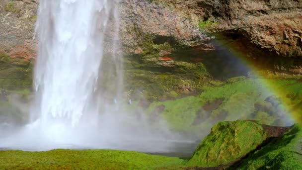 Seljalandsfoss Waterfall Located South Region Iceland Right Route One Most — ストック動画