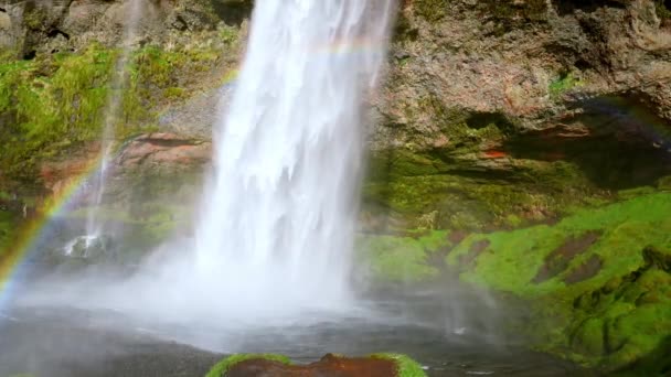 Seljalandsfoss Waterfall Located South Region Iceland Right Route One Most — Vídeo de Stock