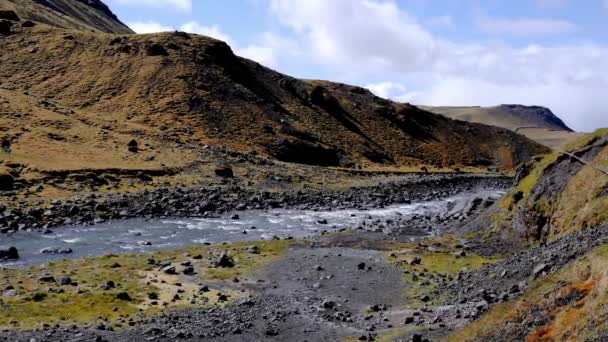 Beautiful Stream Flowing Amidst Green Landscape Iceland Scenic View Mountain — 비디오