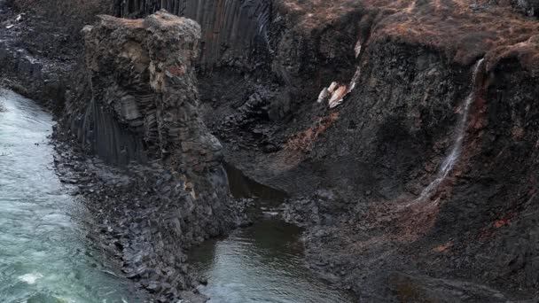 Studlagil Canyon Perto Cidade Egilstadir Islândia Oriental Colunas Basalto Topo — Vídeo de Stock