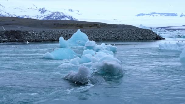 Крупный План Красивого Айсберга Черном Песке Алмазном Пляже Исландии Куски — стоковое видео