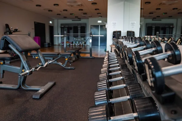 Modern light gym. Sports equipment in gym. Barbells of different weight on rack.