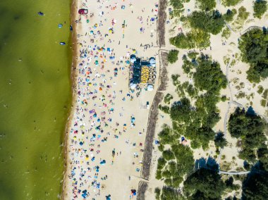 Aerial view of the beach and sea shore in Palanga, Lithuania. Beach town in Palanga.